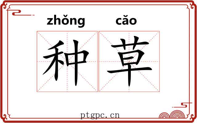 种草 种草