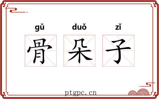 骨朵子