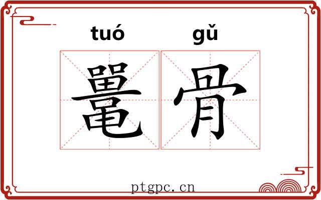 鼍骨