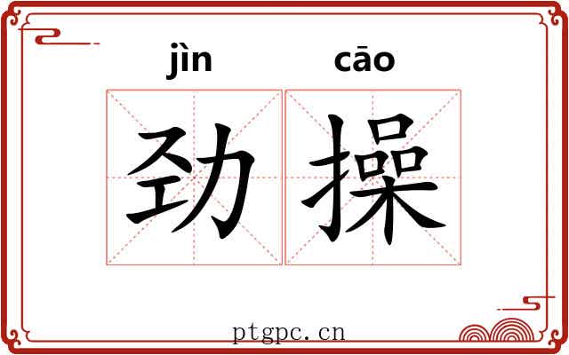 劲操