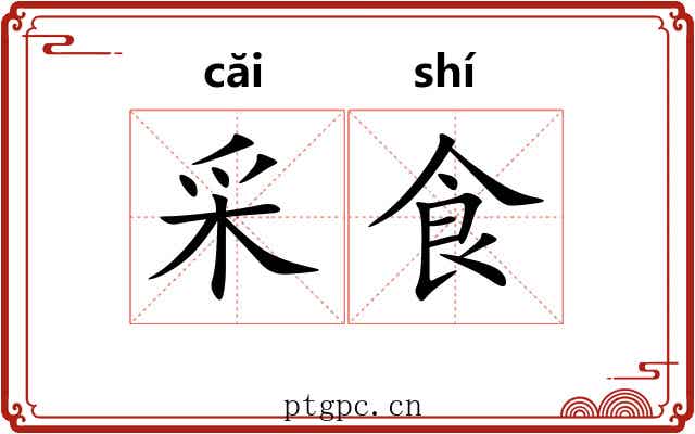 采食 采食