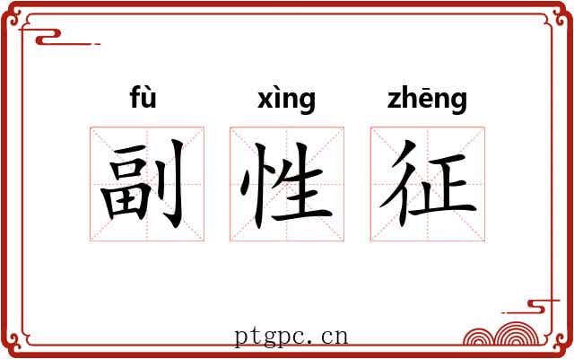 副性征