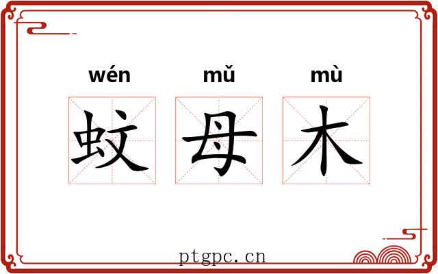 蚊母木