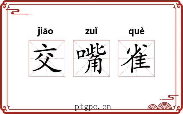 交嘴雀 交嘴雀