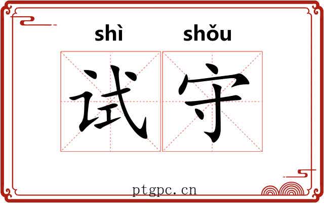 试守
