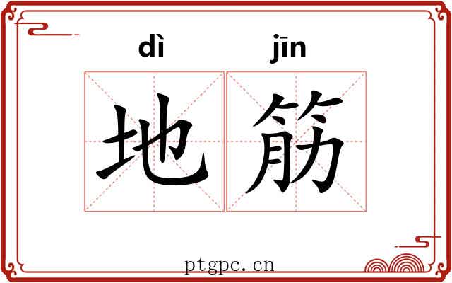 地筋 地筋