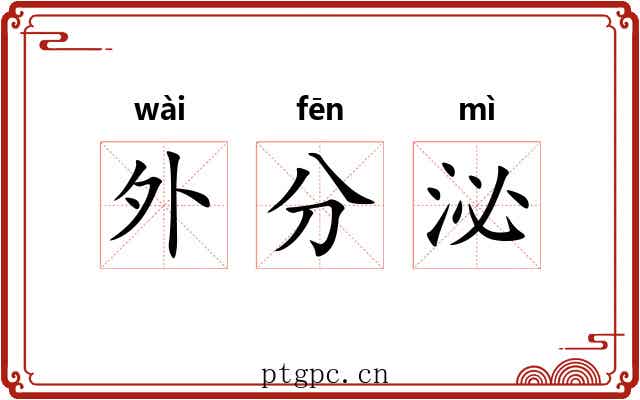 外分泌