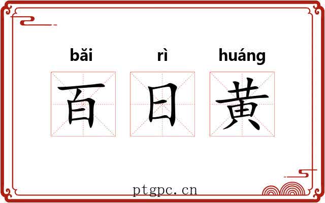 百日黄