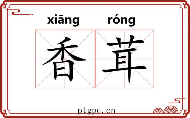 香茸 香茸