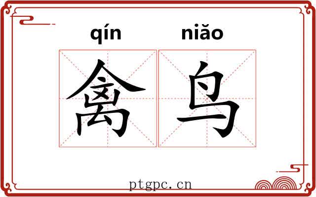 禽鸟