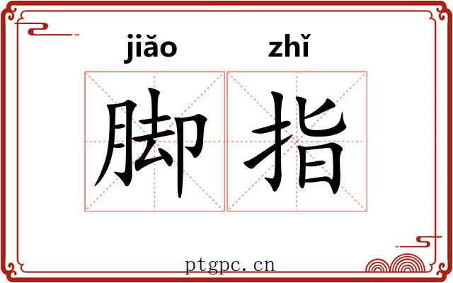 脚指 脚指