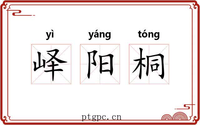 峄阳桐