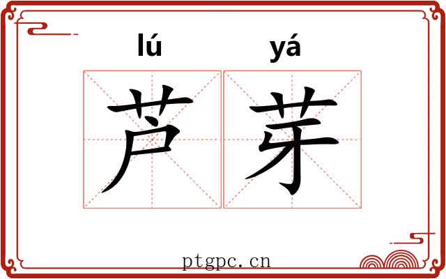 芦芽