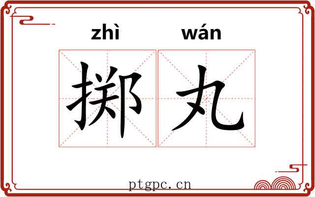 掷丸
