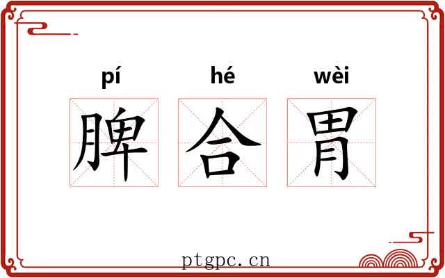 脾合胃