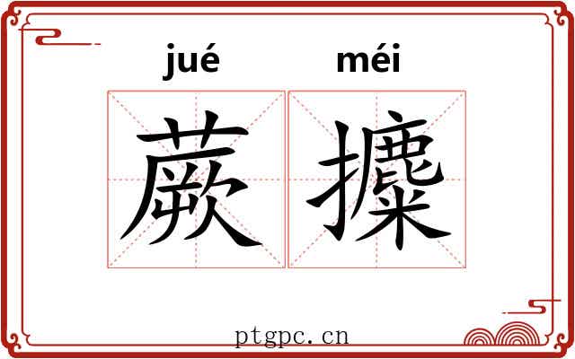 蕨攗