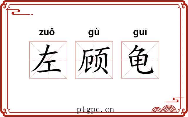 左顾龟