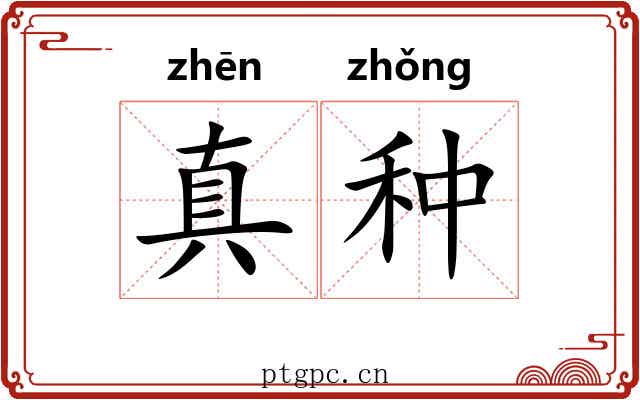 真种 真种