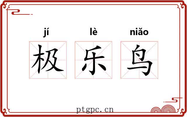 极乐鸟 极乐鸟