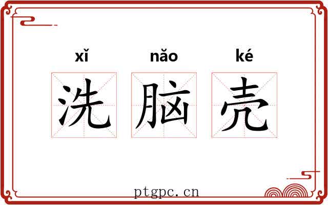 洗脑壳 洗脑壳