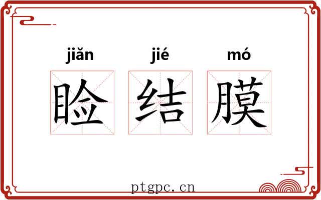 睑结膜