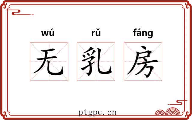 无乳房 无乳房