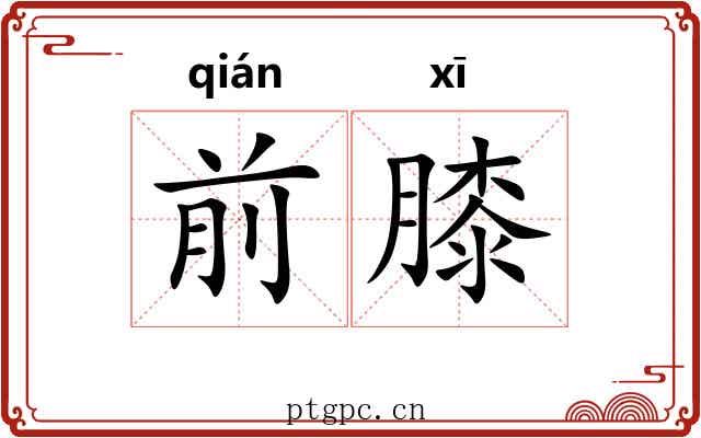 前膝
