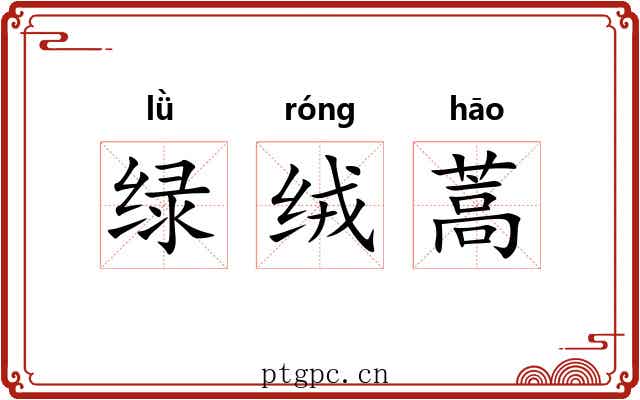 绿绒蒿