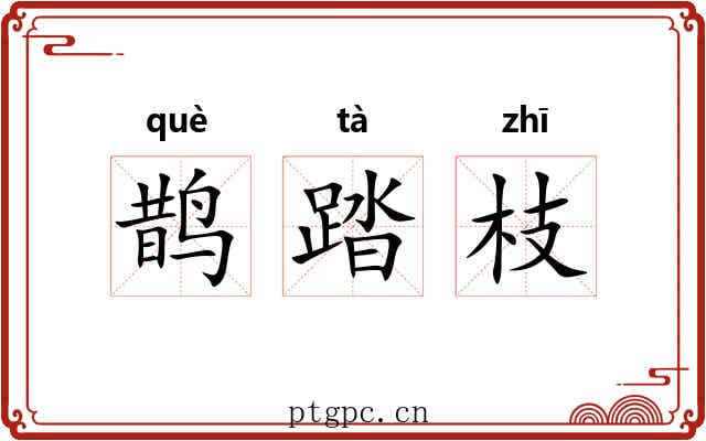 鹊踏枝