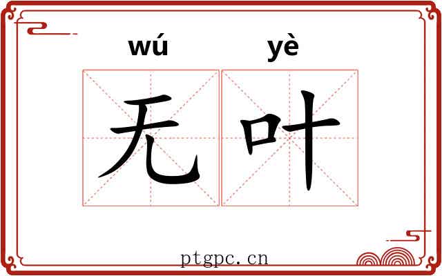 无叶