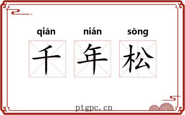千年松