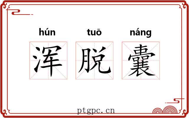 浑脱囊