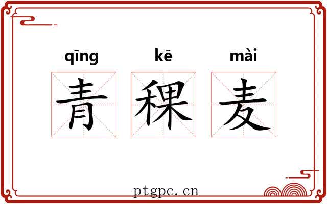 青稞麦