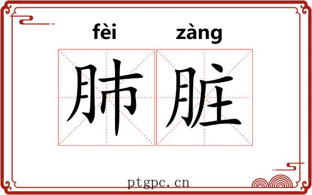 肺脏