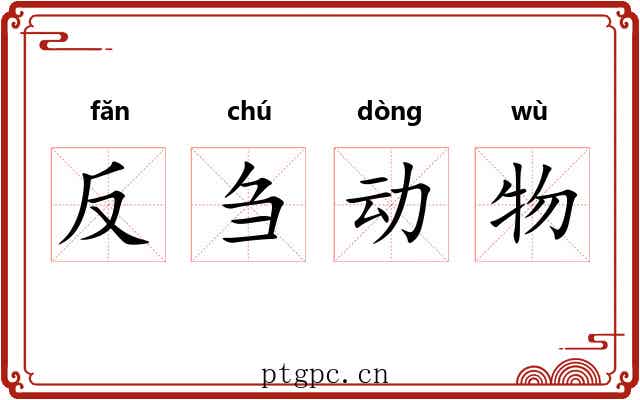 反刍动物 反刍动物