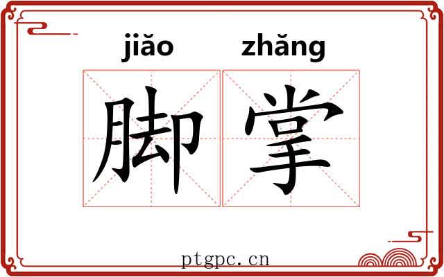 脚掌