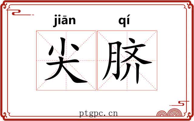 尖脐