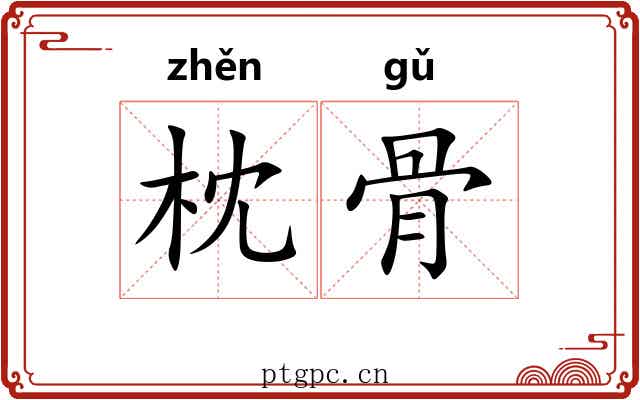 枕骨