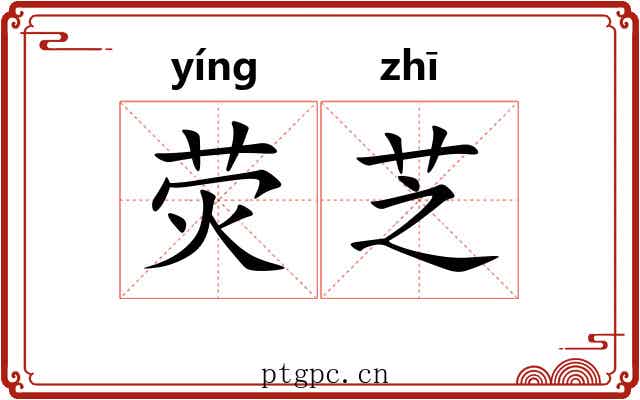 荧芝