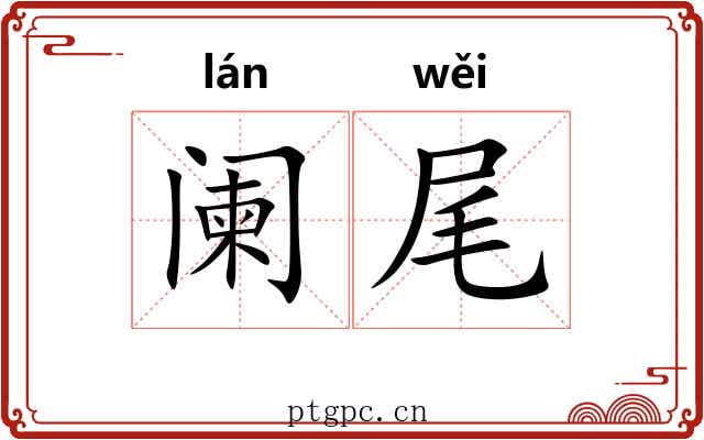 阑尾
