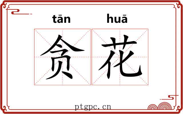 贪花