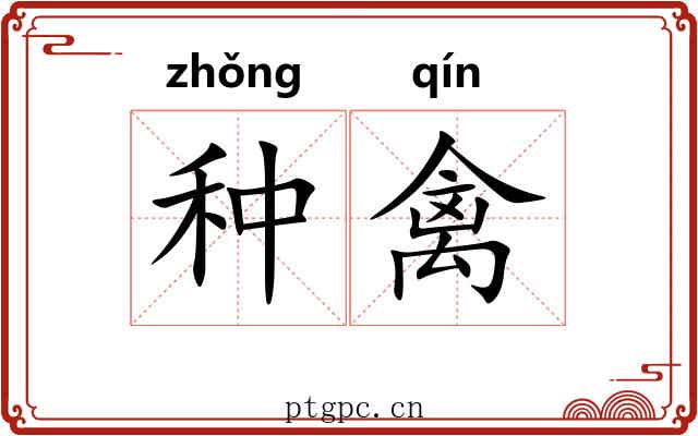 种禽 种禽