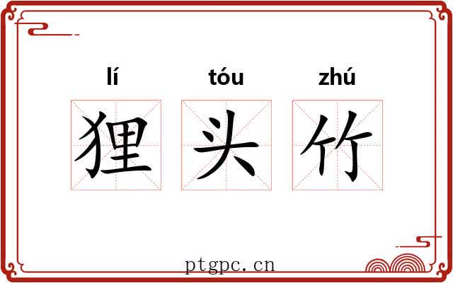 狸头竹
