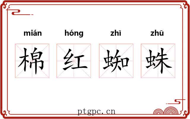 棉红蜘蛛 棉红蜘蛛