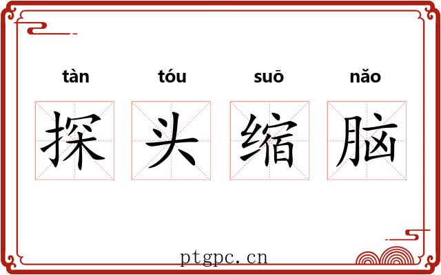 探头缩脑 探头缩脑