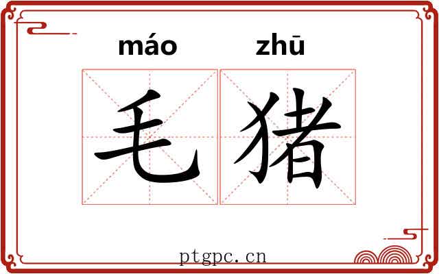 毛猪 毛猪