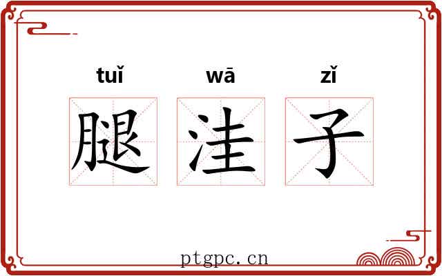 腿洼子 腿洼子