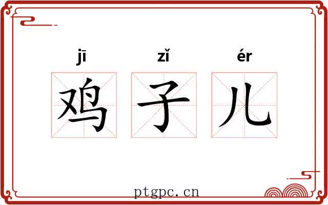 鸡子儿