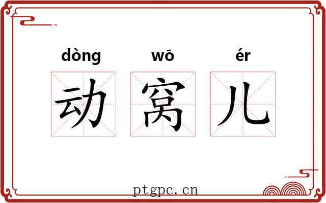 动窝儿 动窝儿