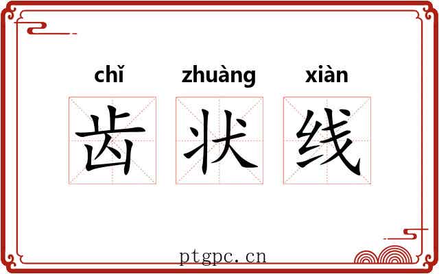 齿状线 齿状线